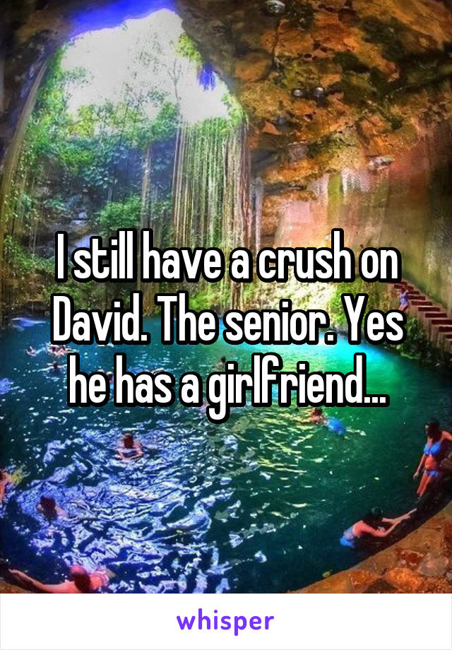 I still have a crush on David. The senior. Yes he has a girlfriend...