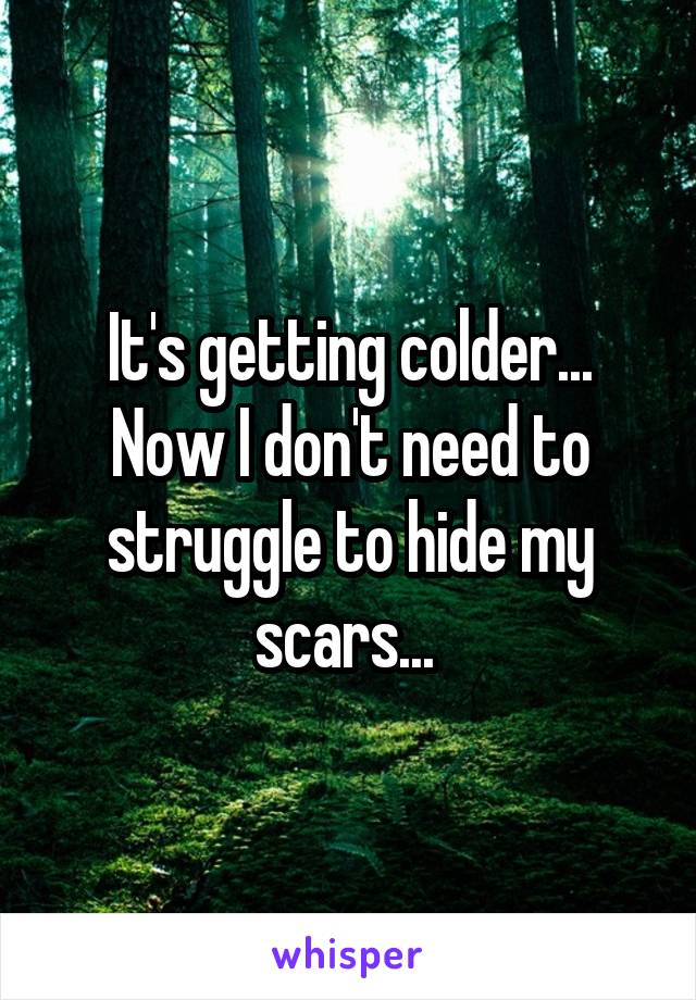 It's getting colder...
Now I don't need to struggle to hide my scars... 