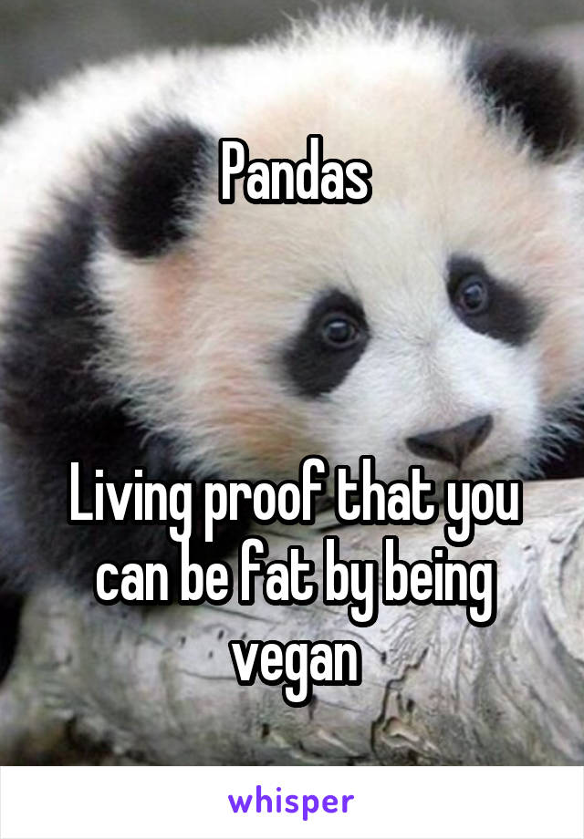 Pandas



Living proof that you can be fat by being vegan