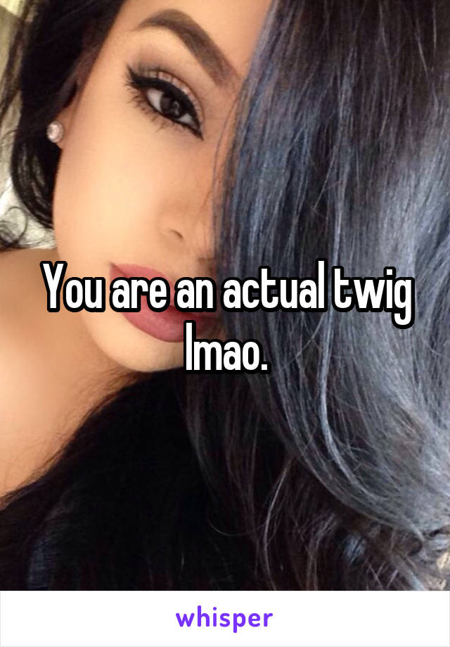 You are an actual twig lmao.