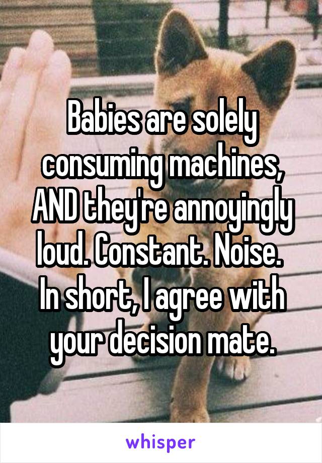 Babies are solely consuming machines, AND they're annoyingly loud. Constant. Noise. 
In short, I agree with your decision mate.