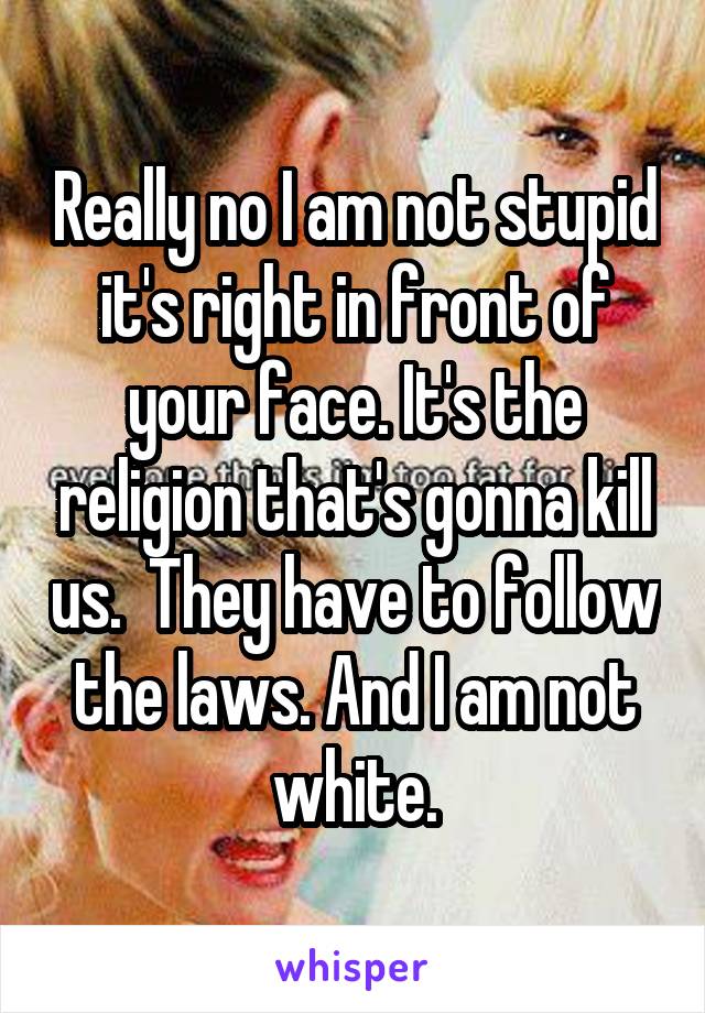 Really no I am not stupid it's right in front of your face. It's the religion that's gonna kill us.  They have to follow the laws. And I am not white.