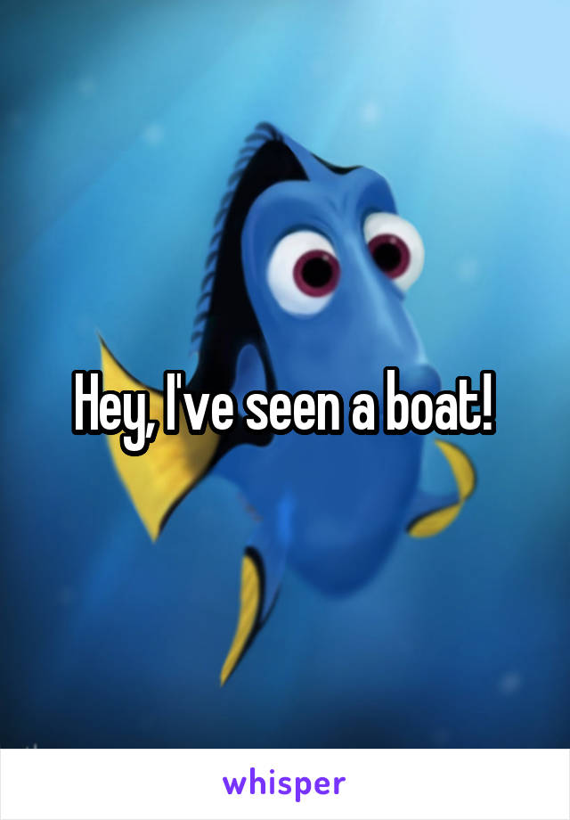 Hey, I've seen a boat! 