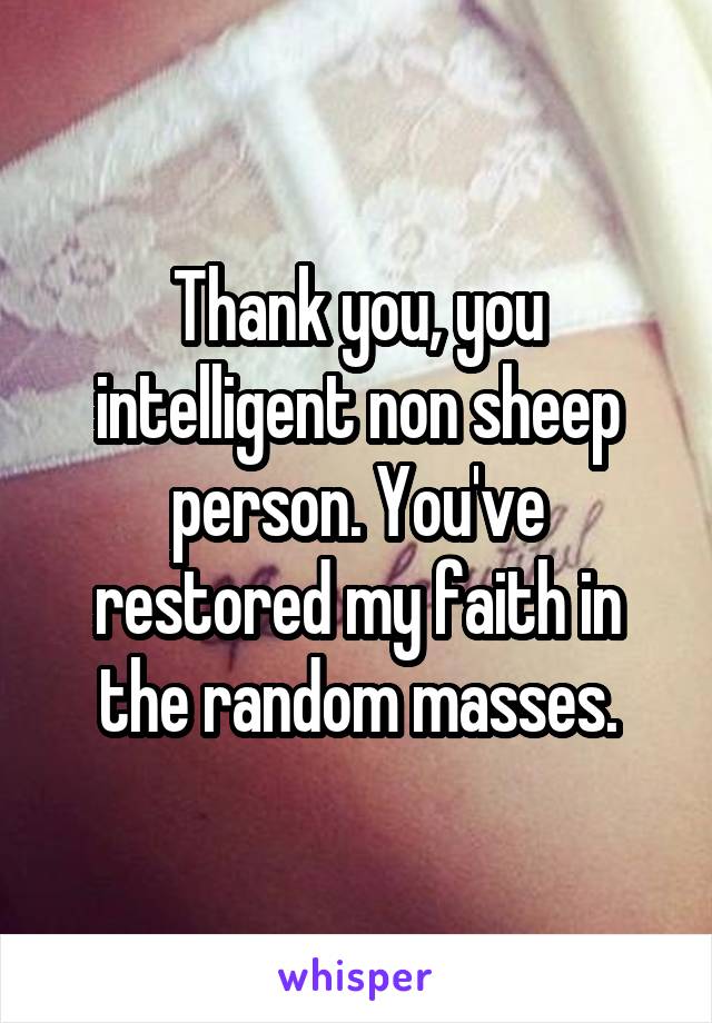 Thank you, you intelligent non sheep person. You've restored my faith in the random masses.