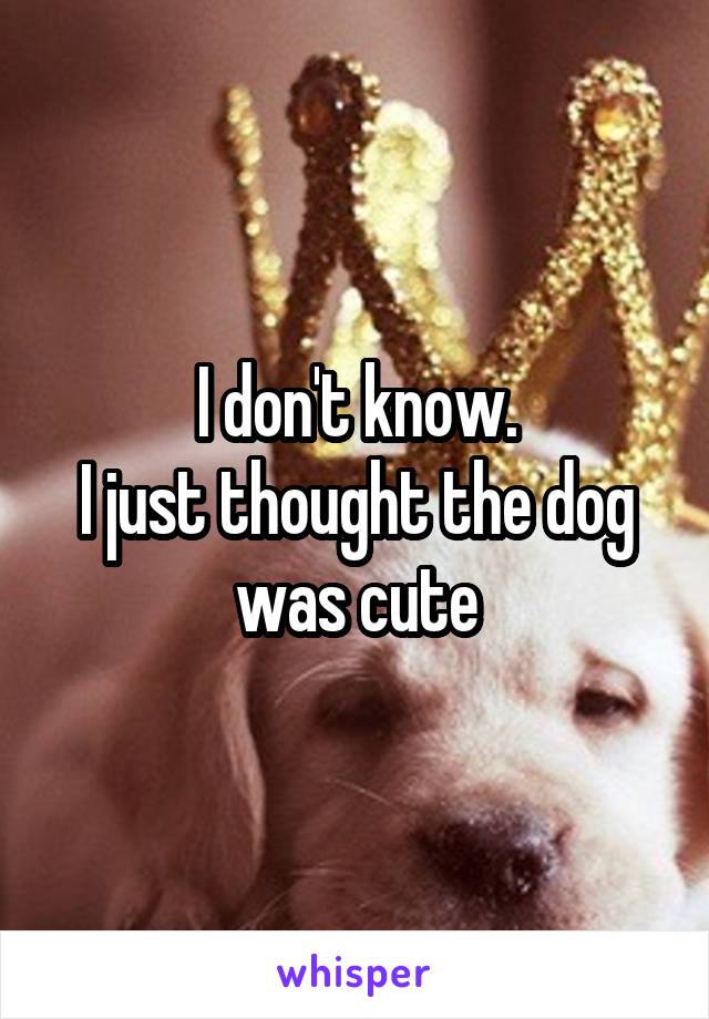 I don't know.
I just thought the dog was cute