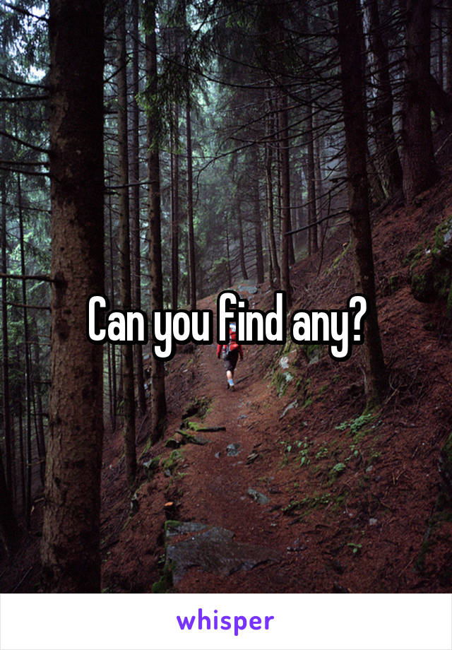 Can you find any?