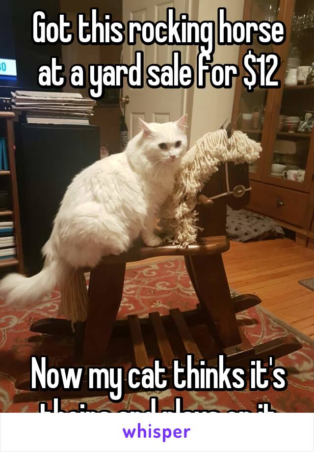 Got this rocking horse at a yard sale for $12






Now my cat thinks it's theirs and plays on it