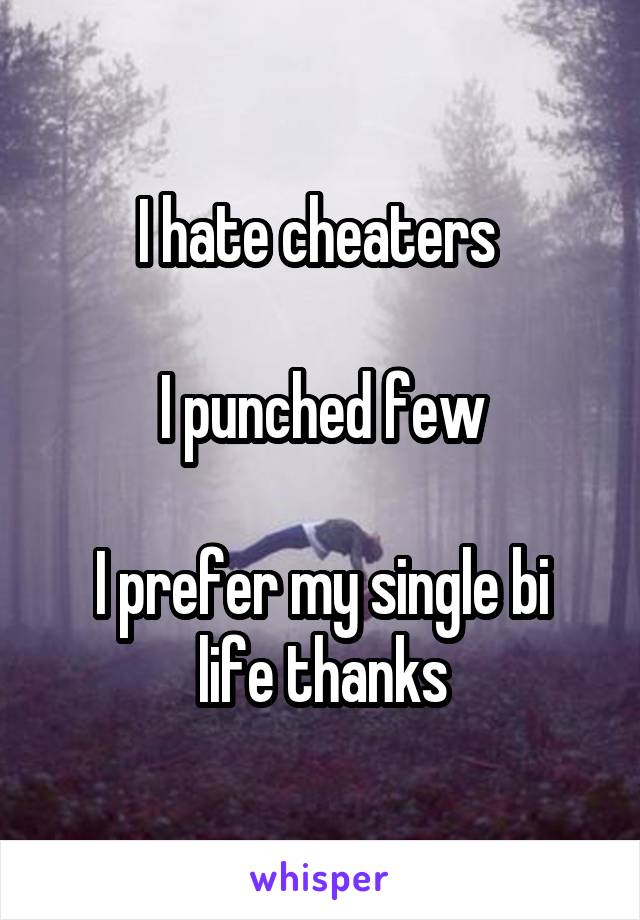 I hate cheaters 

I punched few

I prefer my single bi life thanks