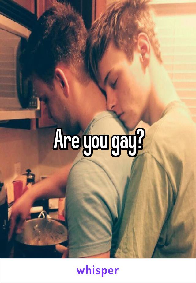 Are you gay?