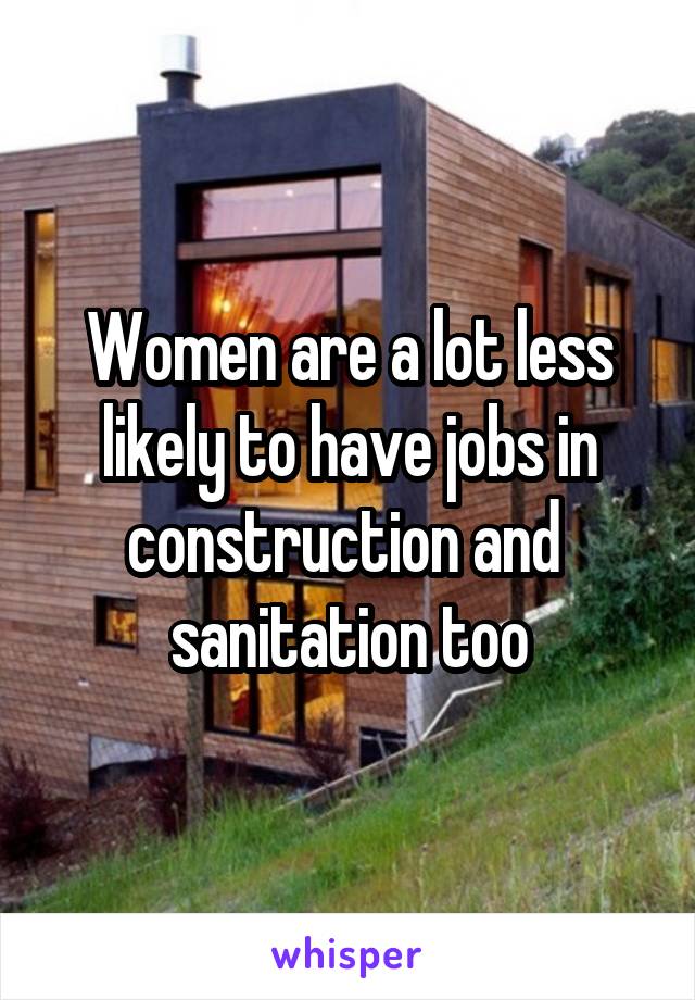 Women are a lot less likely to have jobs in construction and  sanitation too