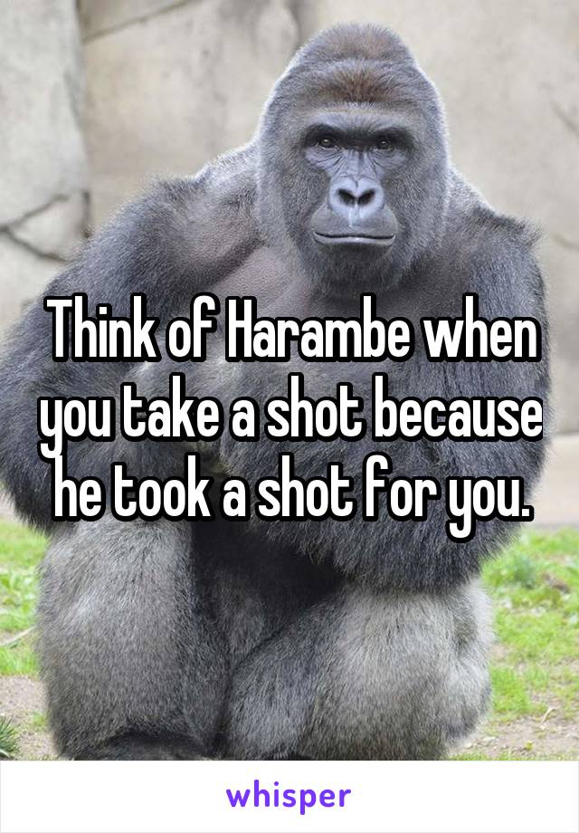 Think of Harambe when you take a shot because he took a shot for you.