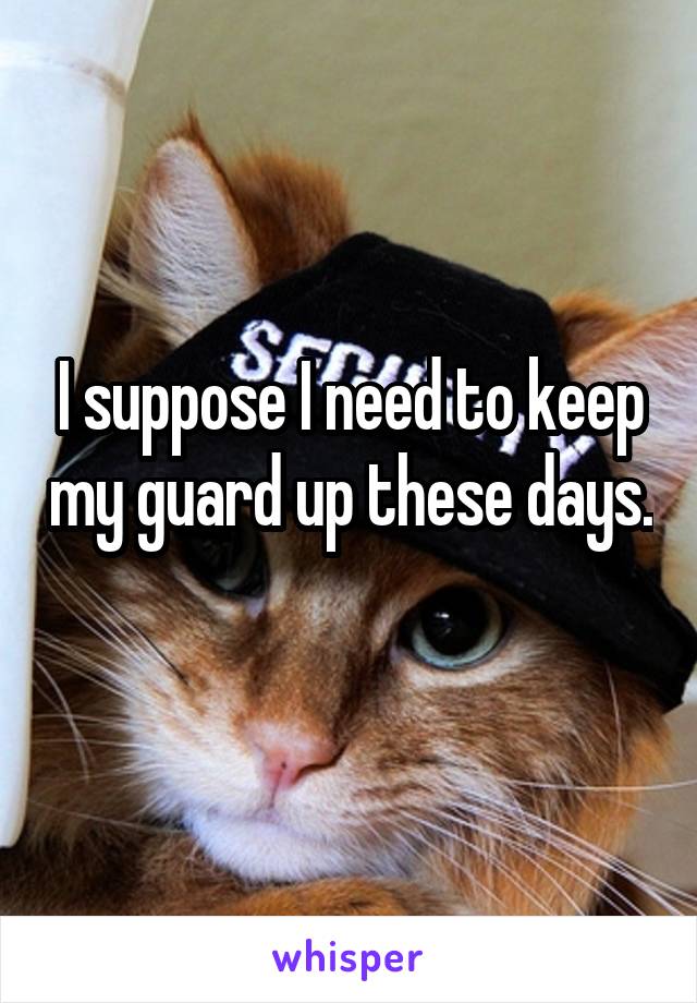 I suppose I need to keep my guard up these days. 