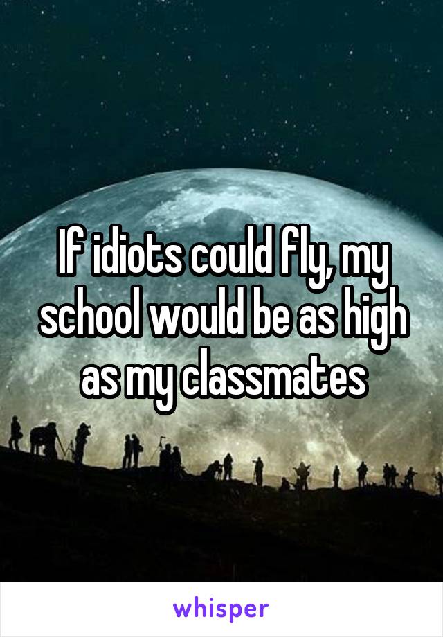 If idiots could fly, my school would be as high as my classmates