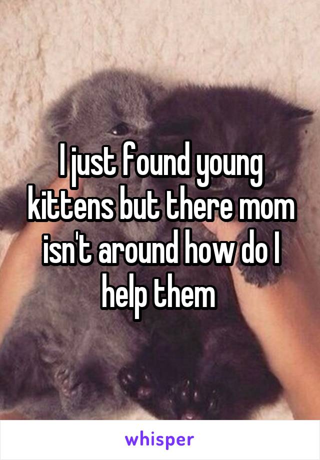 I just found young kittens but there mom isn't around how do I help them 