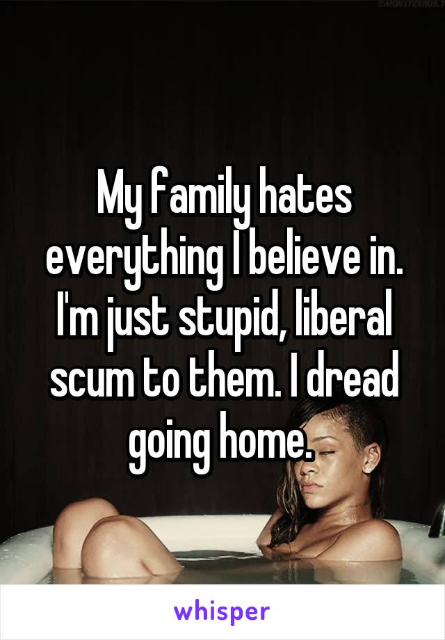 My family hates everything I believe in. I'm just stupid, liberal scum to them. I dread going home. 