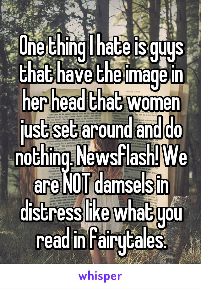 One thing I hate is guys that have the image in her head that women just set around and do nothing. Newsflash! We are NOT damsels in distress like what you read in fairytales.