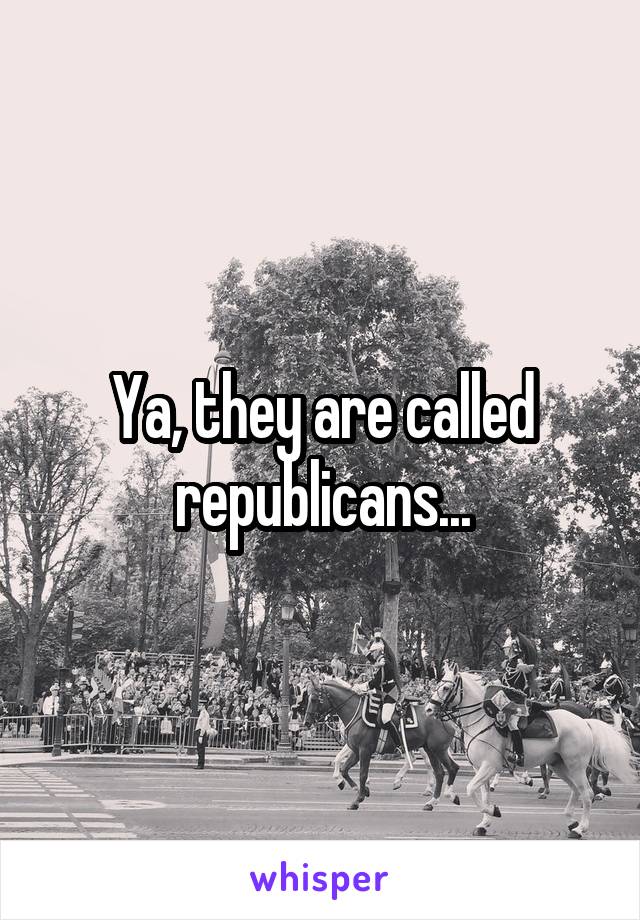 Ya, they are called republicans...