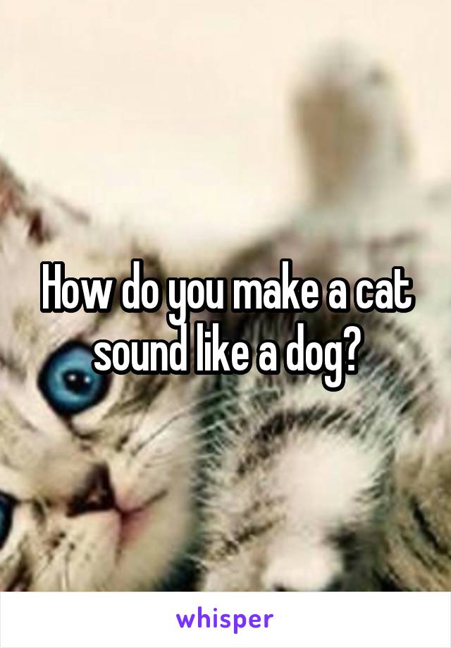 How do you make a cat sound like a dog?