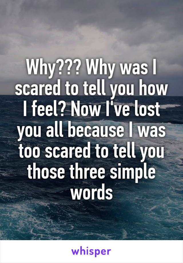 Why??? Why was I scared to tell you how I feel? Now I've lost you all because I was too scared to tell you those three simple words