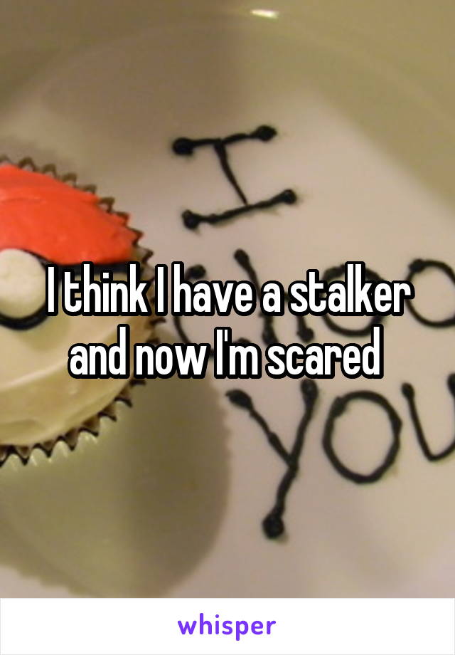 I think I have a stalker and now I'm scared 