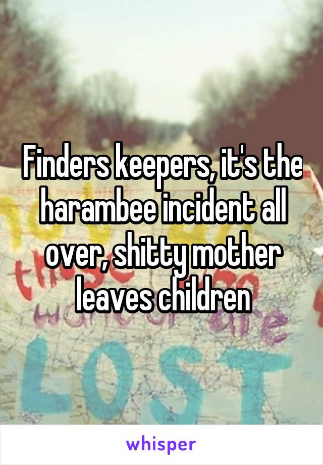 Finders keepers, it's the harambee incident all over, shitty mother leaves children