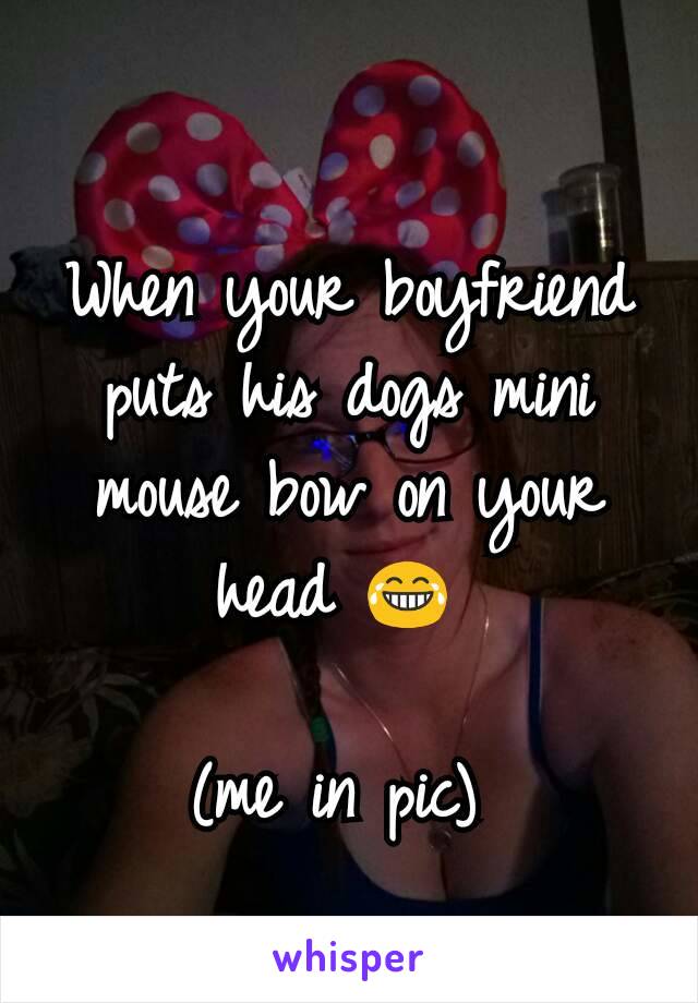 When your boyfriend puts his dogs mini mouse bow on your head 😂 

(me in pic) 