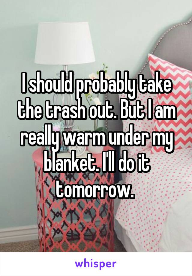 I should probably take the trash out. But I am really warm under my blanket. I'll do it tomorrow. 