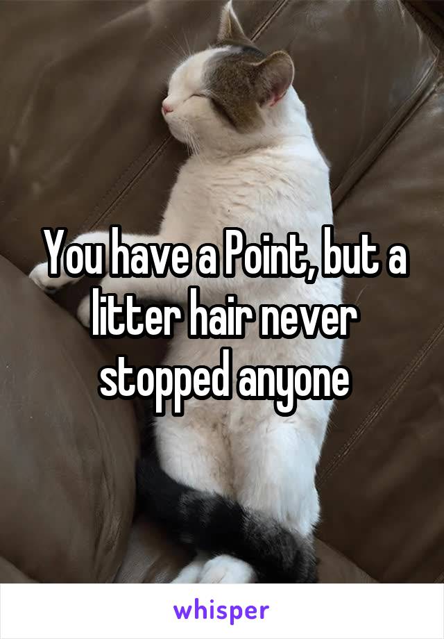 You have a Point, but a litter hair never stopped anyone