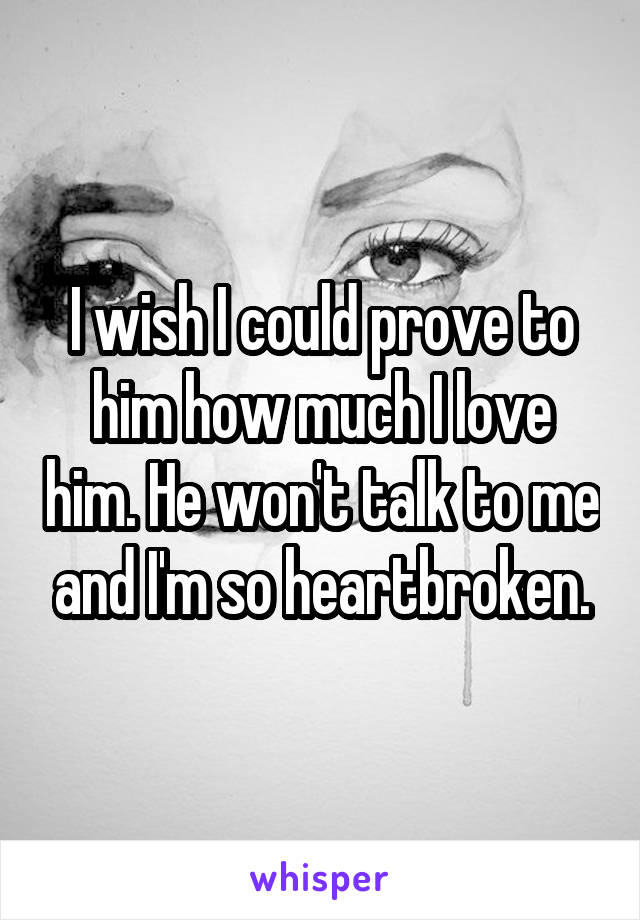 I wish I could prove to him how much I love him. He won't talk to me and I'm so heartbroken.