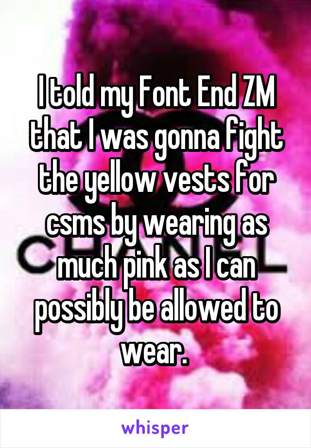 I told my Font End ZM that I was gonna fight the yellow vests for csms by wearing as much pink as I can possibly be allowed to wear. 