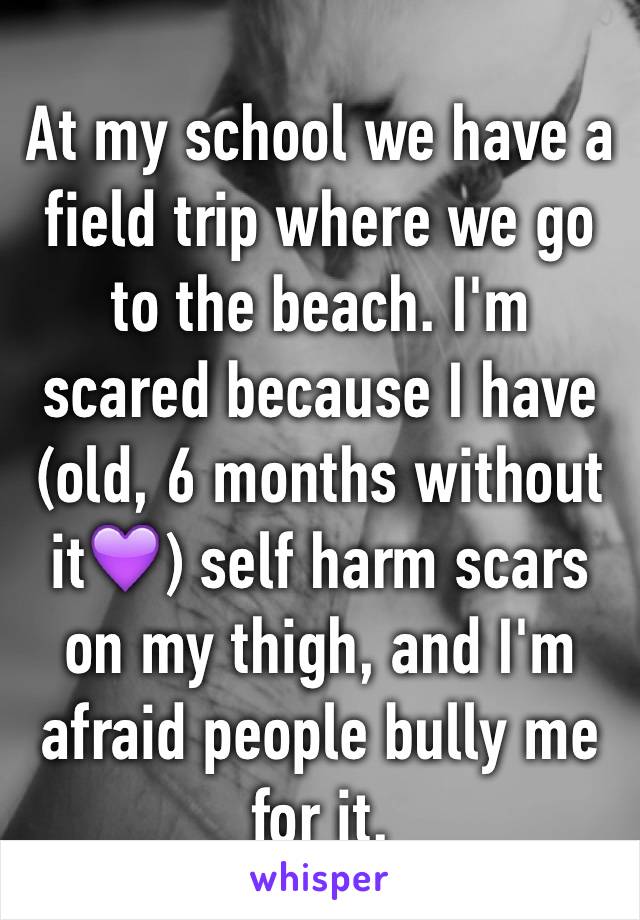 At my school we have a field trip where we go to the beach. I'm scared because I have (old, 6 months without it💜) self harm scars on my thigh, and I'm afraid people bully me for it. 