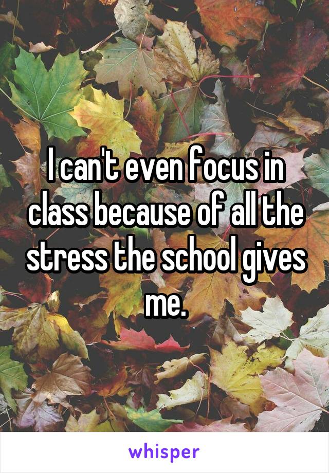 I can't even focus in class because of all the stress the school gives me.