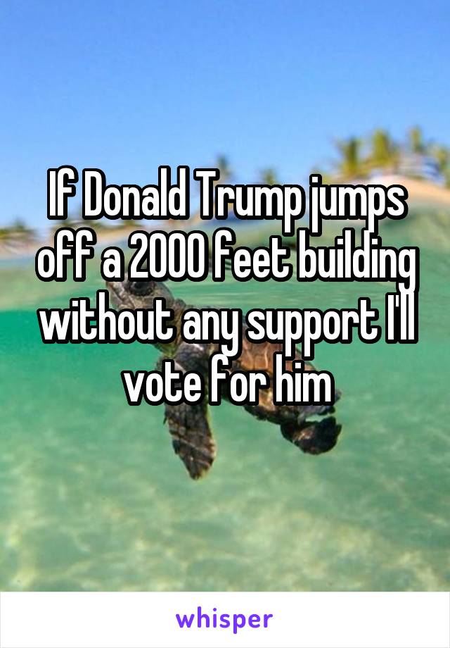 If Donald Trump jumps off a 2000 feet building without any support I'll vote for him
