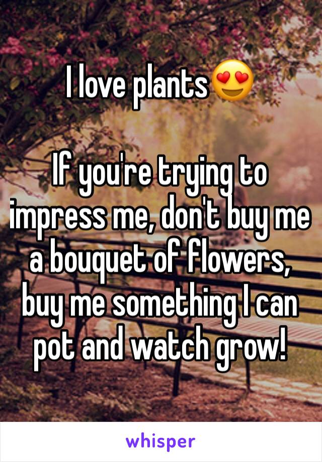 I love plants😍

If you're trying to impress me, don't buy me a bouquet of flowers, buy me something I can pot and watch grow! 