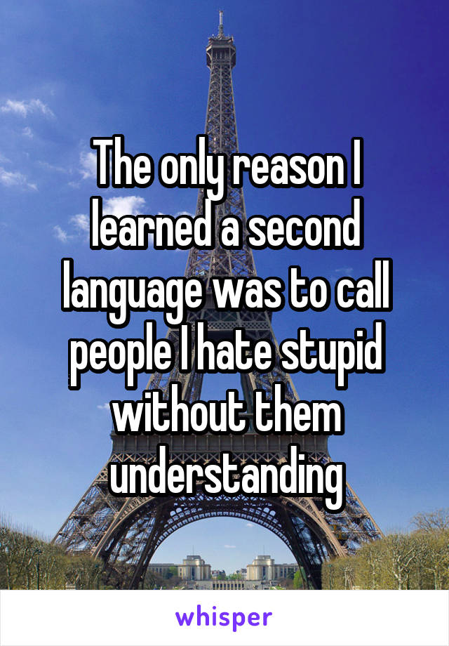 The only reason I learned a second language was to call people I hate stupid without them understanding