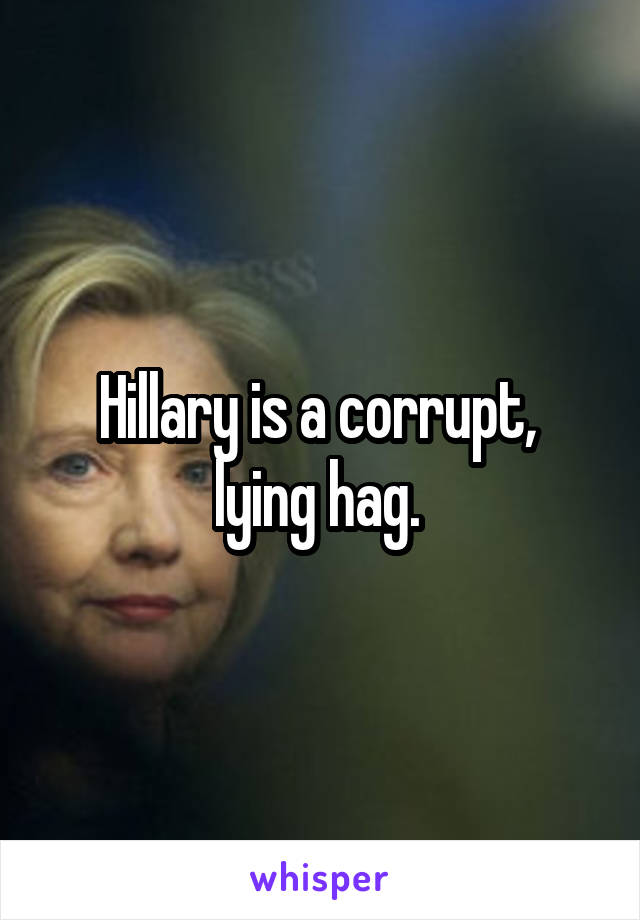 Hillary is a corrupt, 
lying hag. 