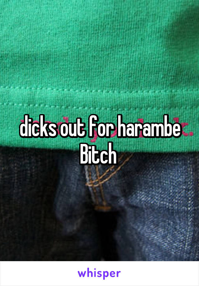 dicks out for harambe
Bitch 