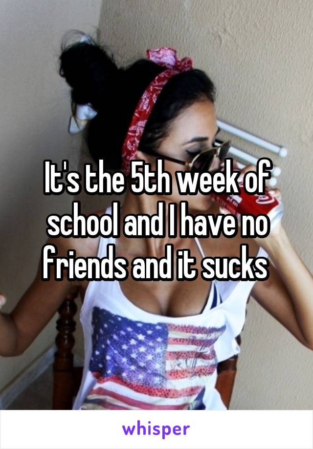 It's the 5th week of school and I have no friends and it sucks 