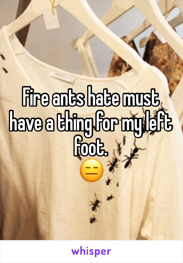 Fire ants hate must have a thing for my left foot. 
😑