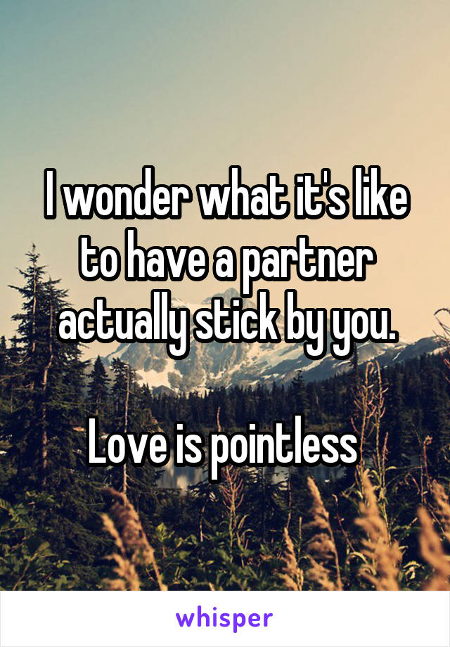 I wonder what it's like to have a partner actually stick by you.

Love is pointless 