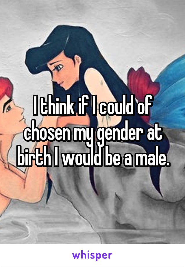 I think if I could of chosen my gender at birth I would be a male.