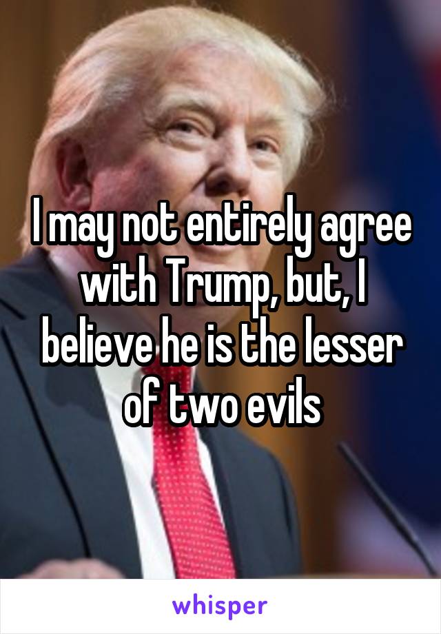 I may not entirely agree with Trump, but, I believe he is the lesser of two evils