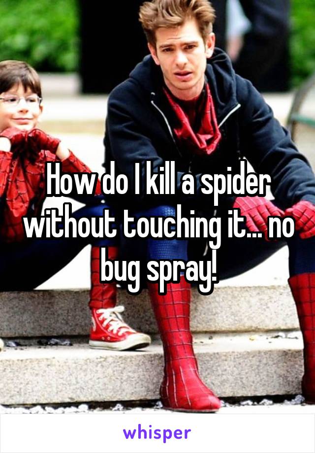 How do I kill a spider without touching it... no bug spray!