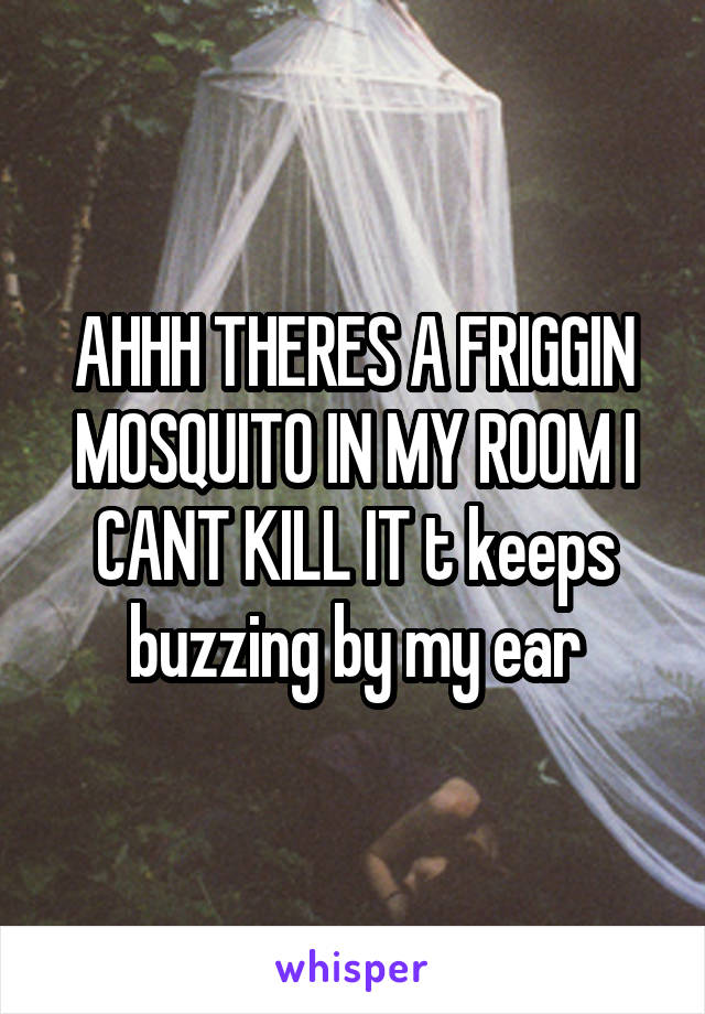 AHHH THERES A FRIGGIN MOSQUITO IN MY ROOM I CANT KILL IT t keeps buzzing by my ear