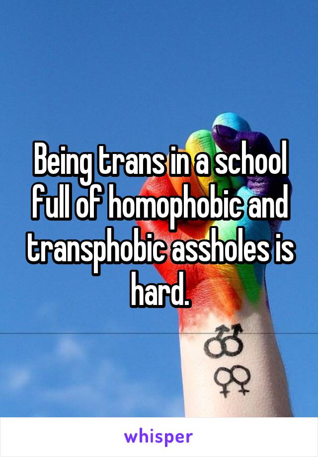 Being trans in a school full of homophobic and transphobic assholes is hard.