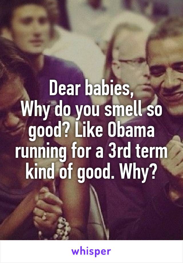 Dear babies,
Why do you smell so good? Like Obama running for a 3rd term kind of good. Why?