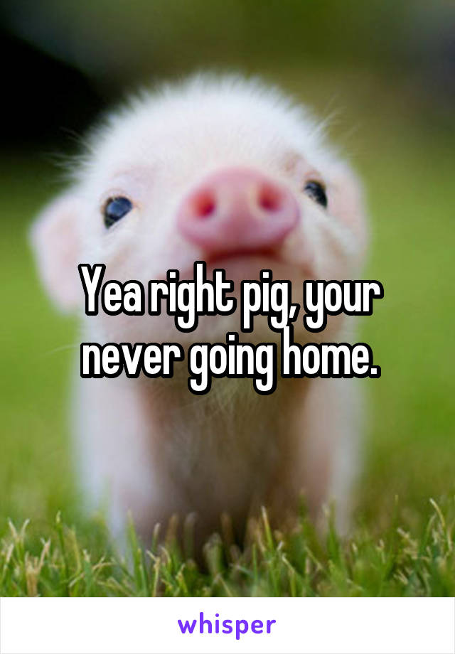 Yea right pig, your never going home.