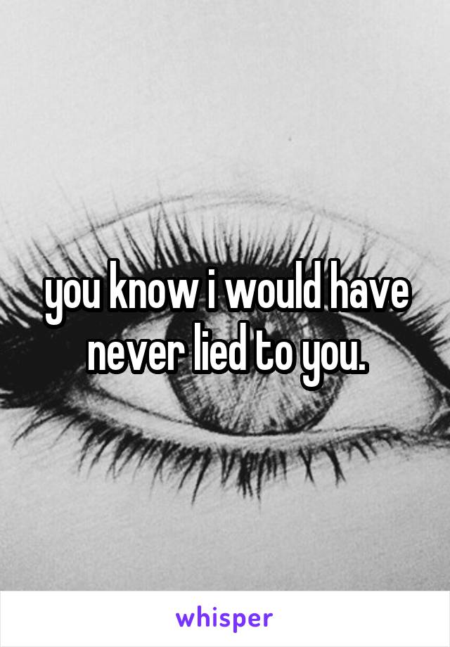 you know i would have never lied to you.