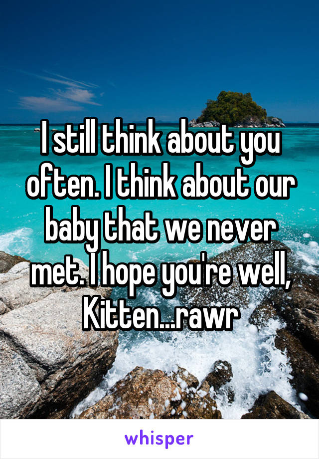 I still think about you often. I think about our baby that we never met. I hope you're well, Kitten...rawr