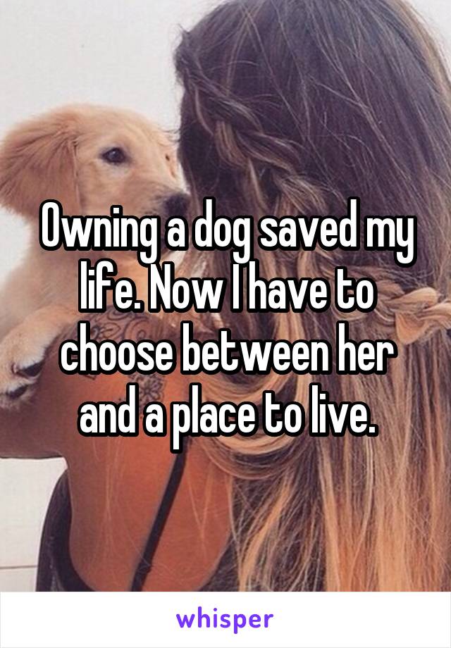 Owning a dog saved my life. Now I have to choose between her and a place to live.